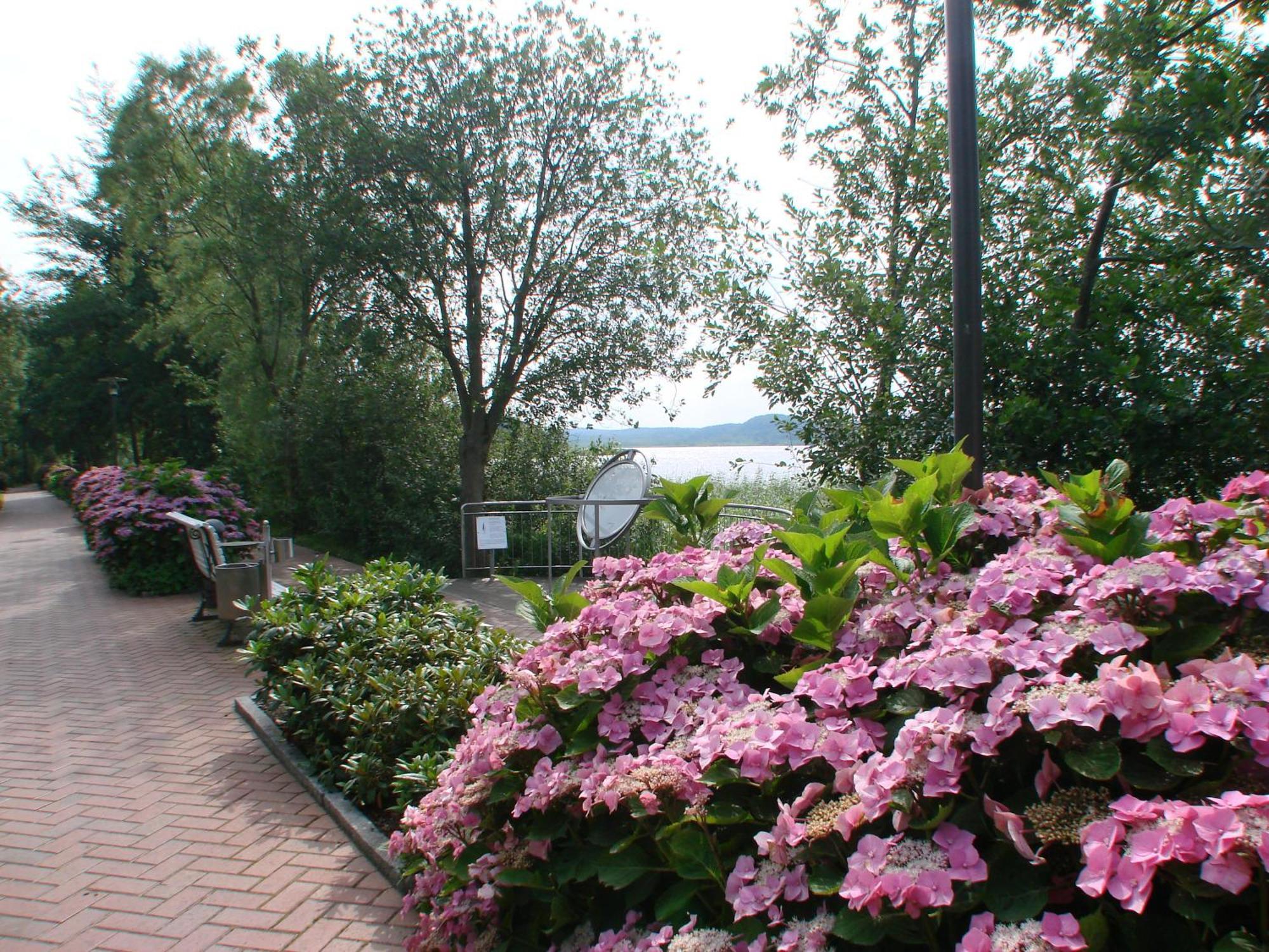 Pension Anker Binz Exterior photo